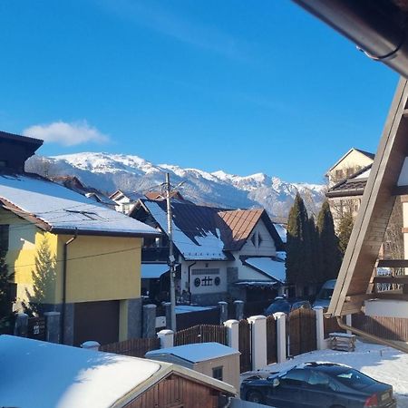 Vila Panselutelor 6 Sinaia Ngoại thất bức ảnh