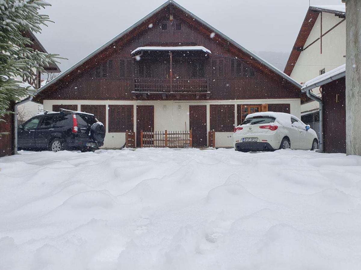Vila Panselutelor 6 Sinaia Ngoại thất bức ảnh