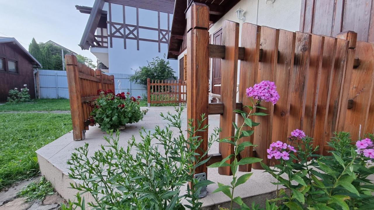 Vila Panselutelor 6 Sinaia Ngoại thất bức ảnh