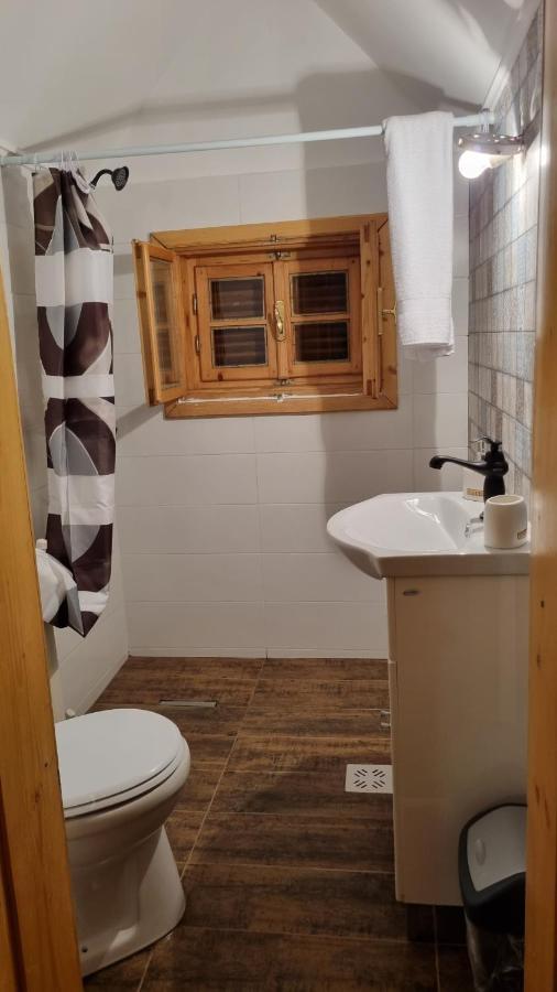 Vila Panselutelor 6 Sinaia Ngoại thất bức ảnh